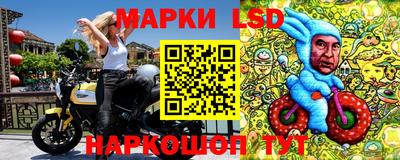 шишки Моздок