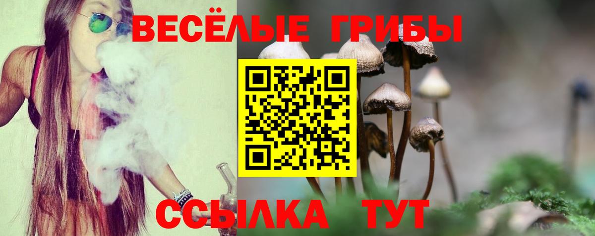 Псилоцибиновые грибы Magic Shrooms  Вход с VPN  Славянск-на-Кубани  Псилоцибиновые грибы мухоморы 